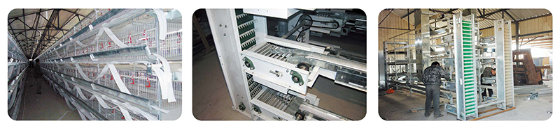 ��������ϵͳ