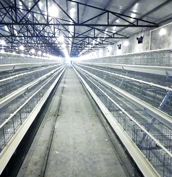 �����豸Ӧ�����ѡ��������ʽ���վɲ��ʽ������